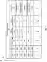 Fig. 06 - Credential renewal continuity for application development