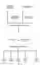 Fig. 05 - Integrated system and method for executing a communal media system in a streaming application