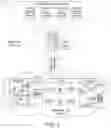 Fig. 04 - System and method for repurposing layer 2 switch as a layer 1 switch
