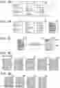 Fig. 04 - DOCUMENT PROCESSING DEVICE, SYSTEM, DOCUMENT PROCESSING METHOD, AND COMPUTER PROGRAM