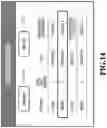 Fig. 15 - Information processing system that executes a process on image data correspondng to a selected profile
