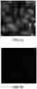 Fig. 12 - Microscope-based system and method for image-guided microscopic illumination