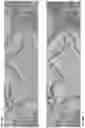 Fig. 10 - Real-time focusing in a slide-scanning system