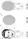 Fig. 08 - Region detection and obscuring logic for generating privacy protected images
