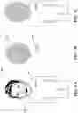 Fig. 09 - Privacy protected image and obscuration system
