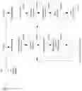 Fig. 37 - Panoramic camera and image processing systems and methods
