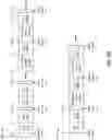 Fig. 22 - Pixel sensor having multiple photodiodes