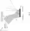 Fig. 09 - Angular spatial light modulator multi-display