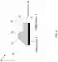 Fig. 10 - Angular spatial light modulator multi-display