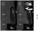 Fig. 15 - Angular spatial light modulator multi-display