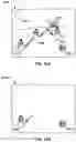 Fig. 11 - Volumetric display including liquid crystal-based lenses
