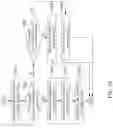 Fig. 32 - Method and apparatus for encoding/decoding an image signal