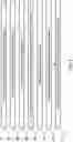 Fig. 07 - RESIDUAL FILTERING IN SIGNAL ENHANCEMENT CODING