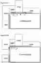 Fig. 19 - Method and device for picture encoding and decoding using illumination compensation