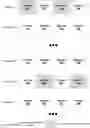 Fig. 01 - REGIONAL RANDOM ACCESS IN PICTURES