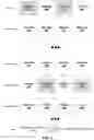 Fig. 05 - REGIONAL RANDOM ACCESS IN PICTURES