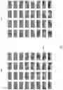 Fig. 05 - Encoding images using MIP map compression