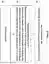 Fig. 07 - Method and apparatus for tile-relative addressing in video coding