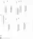 Fig. 14 - Method for picture output with output layer set