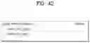 Fig. 43 - Point cloud data transmission device, point cloud data transmission method, point cloud data reception device, and point cloud data reception method