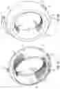 Fig. 06 - Ringed-shaped biometric earpiece