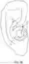 Fig. 15 - Ringed-shaped biometric earpiece