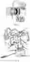 Fig. 03 - Loudspeaker system, loudspeaker, and loudspeaker base