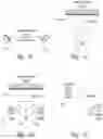 Fig. 06 - Playback of generative media content