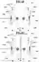 Fig. 18 - MICROPHONE FOR RECORDING MULTI-DIMENSIONAL ACOUSTIC EFFECTS