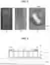 Fig. 02 - PIEZOELECTRIC SPEAKER AND MANUFACTURING METHOD THEREFOR