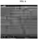 Fig. 05 - PIEZOELECTRIC SPEAKER AND MANUFACTURING METHOD THEREFOR