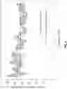 Fig. 06 - ELECTROSTATIC GRAPHENE SPEAKER