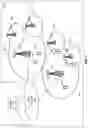 Fig. 02 - DYNAMIC MBMS/UNICAST BEARER ESTABLISHMENT BASED ON A MBMS MULTI-LEVEL BEARER QUALITY INDICATOR