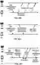 Fig. 35 - Channel state information report for multicast and broadcast services
