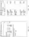 Fig. 70 - Complex computing network for improving establishment and streaming of audio communication among mobile computing devices