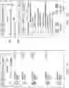 Fig. 71 - Complex computing network for improving establishment and streaming of audio communication among mobile computing devices