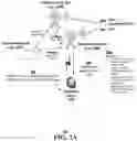 Fig. 04 - Systems and methods for enhancing spectrum sharing over wireless networks