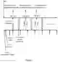 Fig. 08 - Detection of a skipped uplink transmission