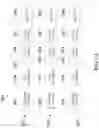 Fig. 11 - Transporting MTNC-ID over SRV6-header for 5G transport