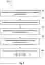 Fig. 06 - Early releasing uplink retransmission memory based upon prediction of uplink retransmission indicator