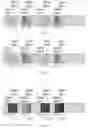 Fig. 09 - Methods and apparatuses for synchronization signal transmission