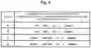 Fig. 05 - Wireless communication method and base station