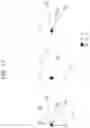 Fig. 12 - Method and device for allocating SL HARQ feedback report resource in NR V2X