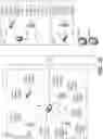 Fig. 02 - SYSTEMS AND METHODS OF CLIENT DEVICE GROUPING FOR UPLINK TRANSMISSION IN A WLAN