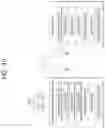Fig. 52 - Method for transmitting sidelink signal in wireless communication system
