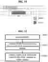 Fig. 12 - METHOD FOR TRANSMITTING HARQ-ACK CODEBOOK, USER EQUIPMENT, DEVICE AND STORAGE MEDIUM, METHOD FOR RECEIVING HARQ-ACK CODEBOOK, AND BASE STATION