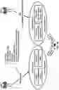 Fig. 29 - Random Access Procedure in Multiple Transmission and Reception Points