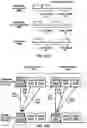 Fig. 11 - Transmission and access with multiple panels