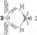 Fig. 19 - Transmission and access with multiple panels