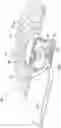 Fig. 04 - Cooktop appliance and heating element having a thermally isolated thermostat